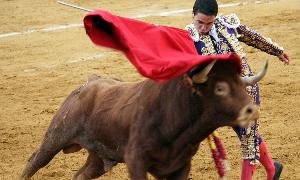 Javier Herrero, en plena faena, en una de las últimas ferias de Cuéllar. / M. Rico