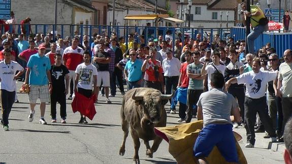 Encierro celebrado este domingo en Valdestillas. 