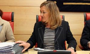 La consejera Pilar del Olmo momentos antes de iniciar su intervención antes los procuradores. / R. C.-Ical