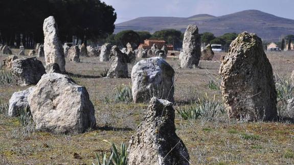 Estelas funerarias en el yacimiento vacceo de Pintia en Padilla de Duero. 