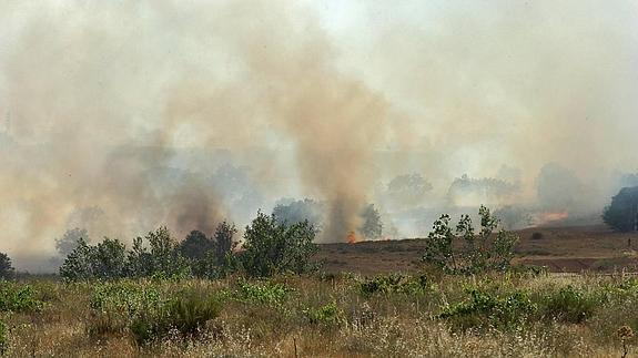 Incendio en la Valdoncina, cerca de León capital. 