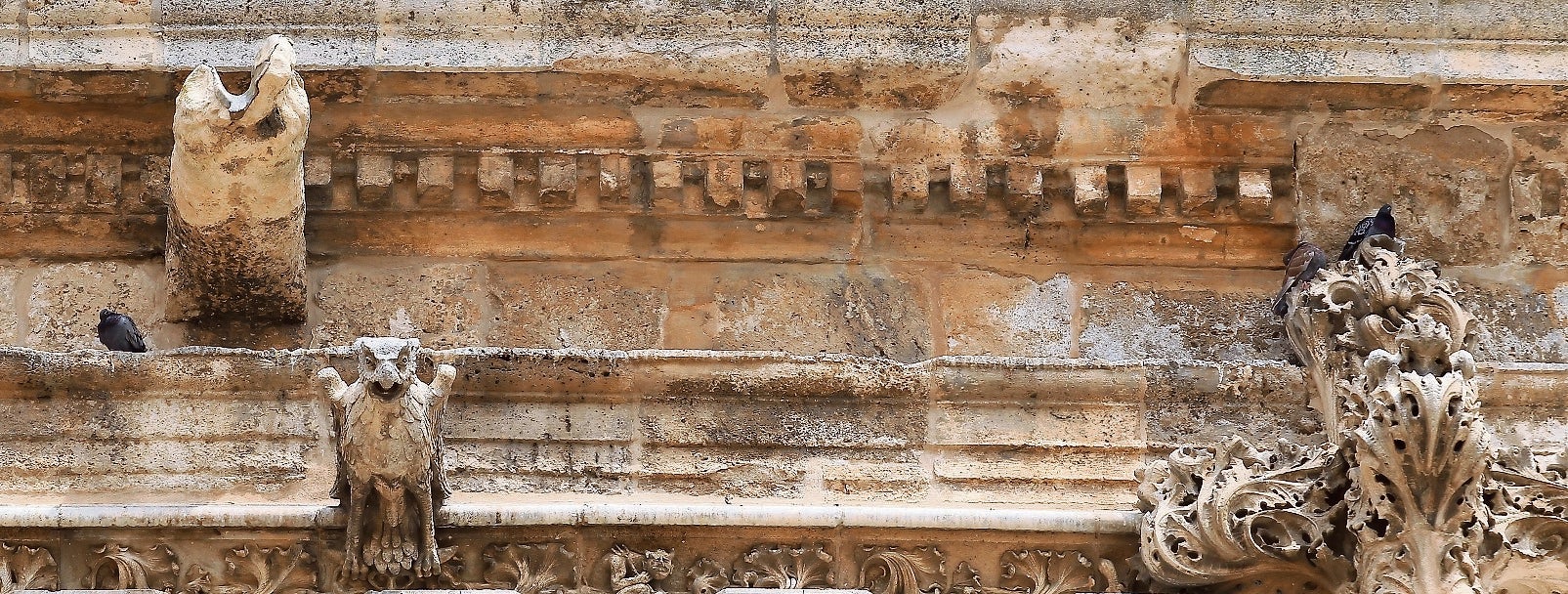 La captura de palomas evitará el deterioro de monumentos y del mobiliario urbano
