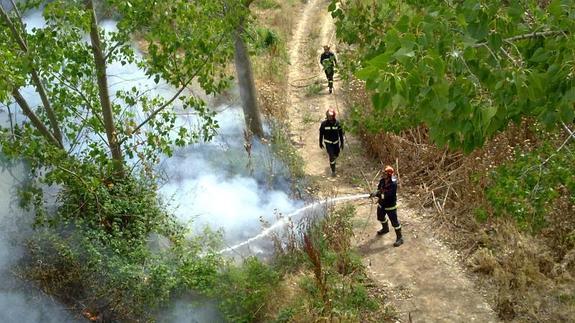 Los bomberos sofocan un incendio junto al Puente de la Hispanidad