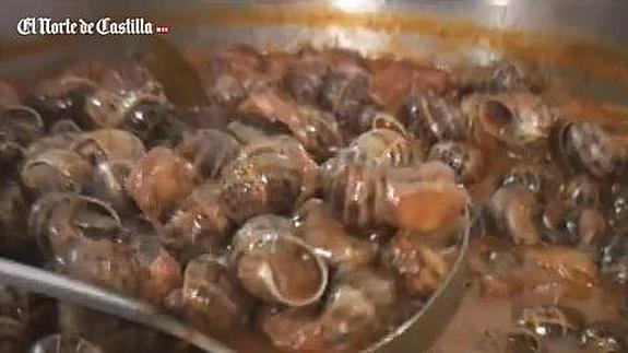 Cómo limpiar caracoles: una parte tan importante como cocinarlos bien