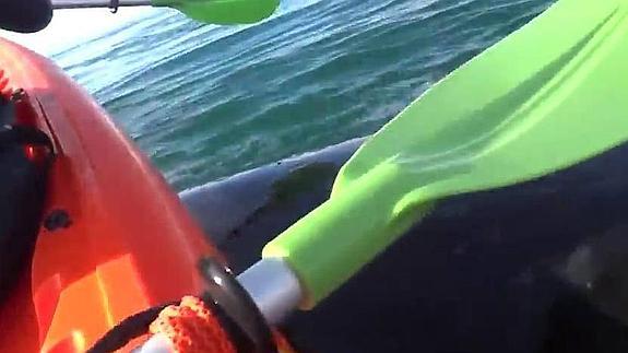 Momento en que la ballena levanta el kayak 