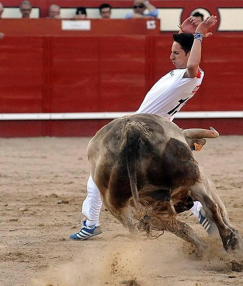 El trapío será la nota característica en la final de la Liga del Corte Puro.