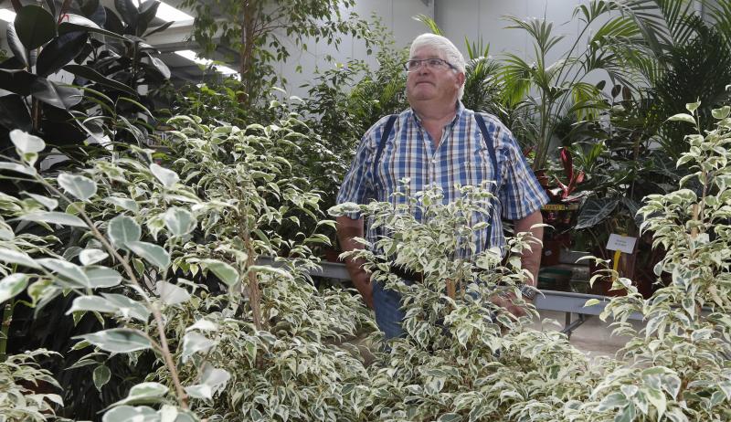 Manuel Gimeno entre las plantas que cultiva y vende en su vivero.