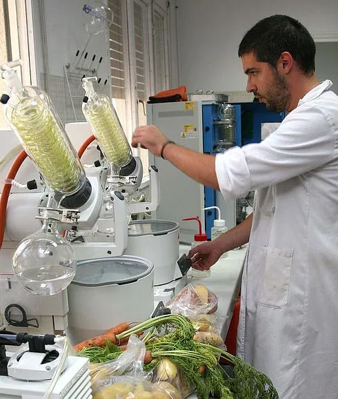 Un técnico trabaja en el laboratorio del Consorcio Agropecuario de Segovia. 