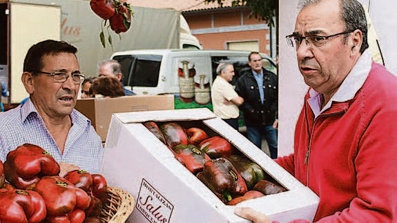 La cosecha de pimientos en Torquemada ha descendido por las bajas temperaturas del verano