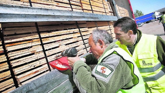 Control en carretera de camiones con palés.