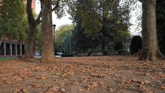 Hojas caídas en el parque de la plaza del Doctor Quemada. 
