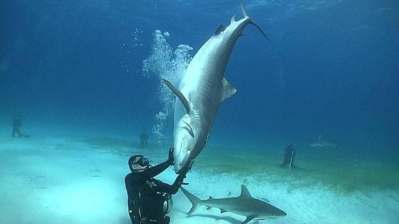 Karlos Simón inmoviliza a un tiburón durante un rodaje.