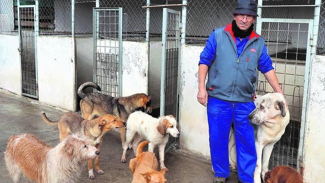 José Luis Lorenzo, responsable de la protectora El Cordel de Ciudad Rodrigo, encargados de recoger a los animales que aparecen en los pueblos de la provincia. 
