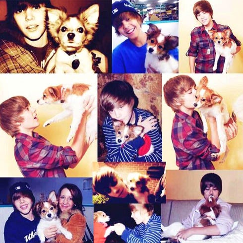 Imágenes de Justin Bieber con Sammy.