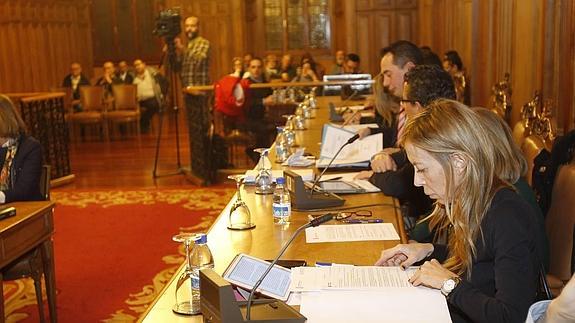 La concejala Carmen Fernández defiende la propuesta. 