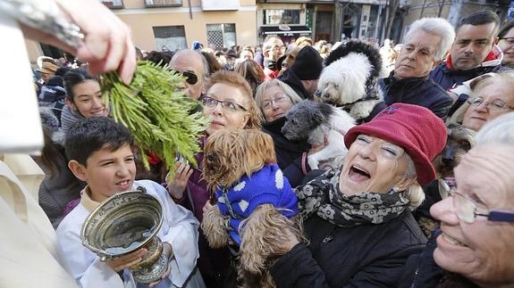 Bendición de los animales en la plaza del Salvador.