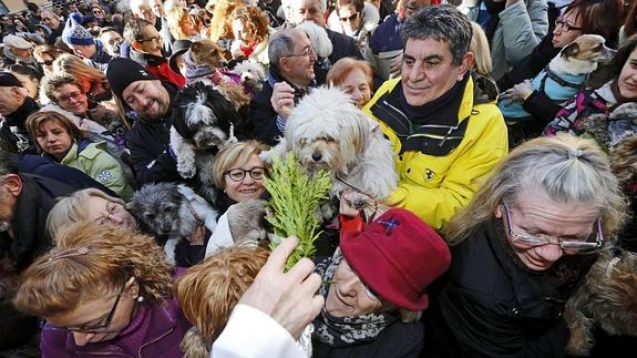 Un hombre alza a su perro para que reciba la bendición en Valladolid.