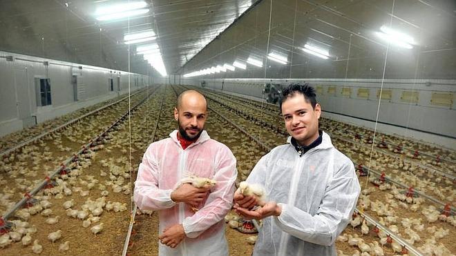 Rodrigo y Álvaro Nieto, en su granja avícola de Ataquines. 