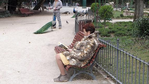Una mujer lee ayer en el Campo Grande, antes de la llegada de la lluvia.