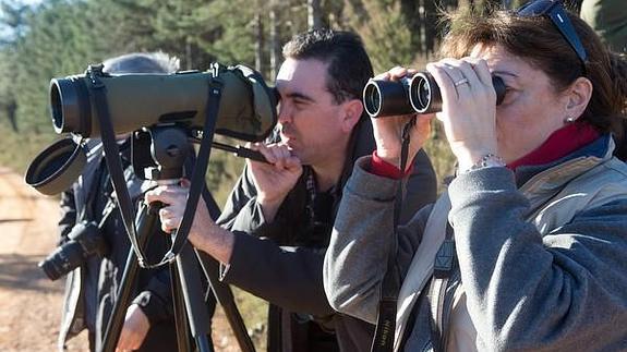 Ecologístas en Acción organizan un viaje a Villardeciervos, en la sierra de la culebra y a Lubian, en la sierra segundera, para fomentar el turismo lobero. En la imagen un grupo de turistas en el momento de la espera del lobo. 