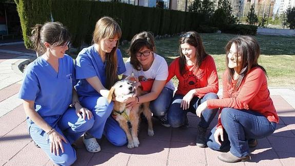 Las responsables de la clínica veterinaria y de la protectora Propatas, con Vida/Lisa.