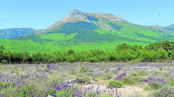 La Peña de Francia pertenece al término municipal de El Cabaco. 