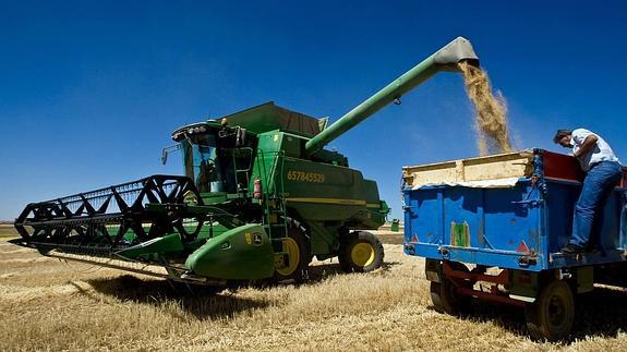 Cosechadora en tierras de cereales de la provincia de Zamora. 