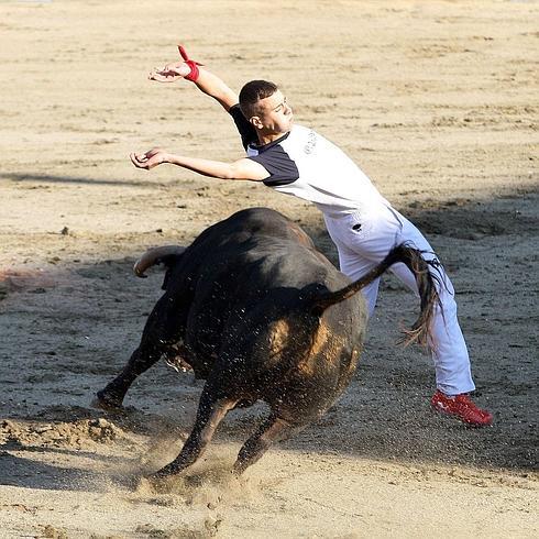Un bonito recorte de espaldas en el concurso de Segovia.