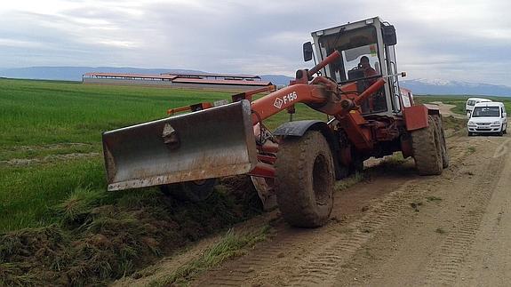 Una máquina trabaja en un camino de Escarabajosa. 