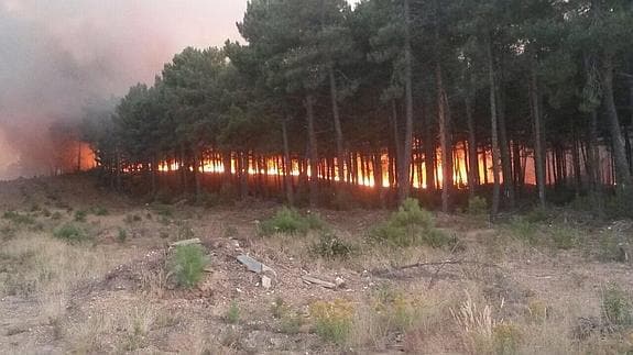 Los equipos de extinción trabajan para sofocar las llamas en Latedo.