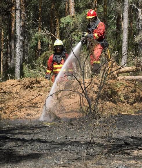 Los forestales tratan de extinguir el fuego. EFE