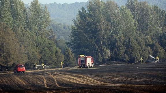 Varios brigadistas trabajan en las labores de extinción del incendio forestal declarado en Barcebalejo (Soria). 
