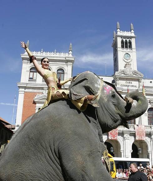 Un elefante, anuncio del Circo Mundial en la Plaza Mayor, en 2010.