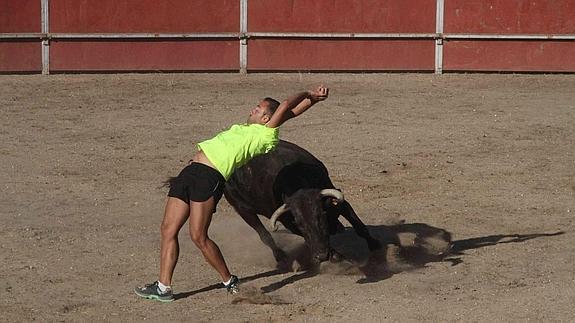 Un joven practica un recorte a uno de los novillos