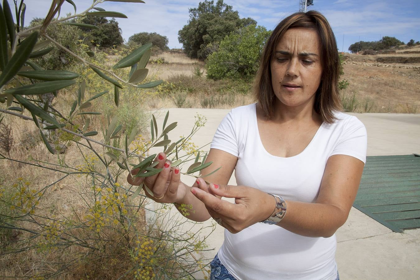 Loli Sámchez Egido, comercial de “Aceiteros del Agueda”; la primera almazara de aceite ecológico de Castilla y León, en la localidad salmantina de Ahigal de los Aceiteros 