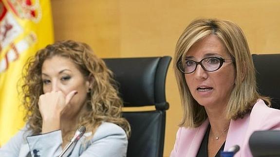 La consejera de Familia e Igualdad de Oportunidades, Alicia García, comparece en las Cortes para exponer el programa de actuaciones de su departamento en la presente legislatura. 