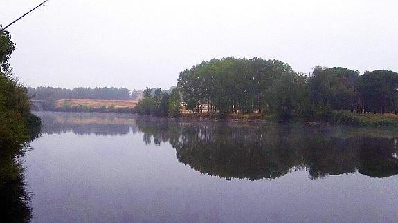 Cubeta de recarga de los acuíferos de Santiuste, en el río Voltoya. 