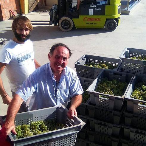 Tomás Postigo y su hijo, con los racimos de verdejo seleccionados.