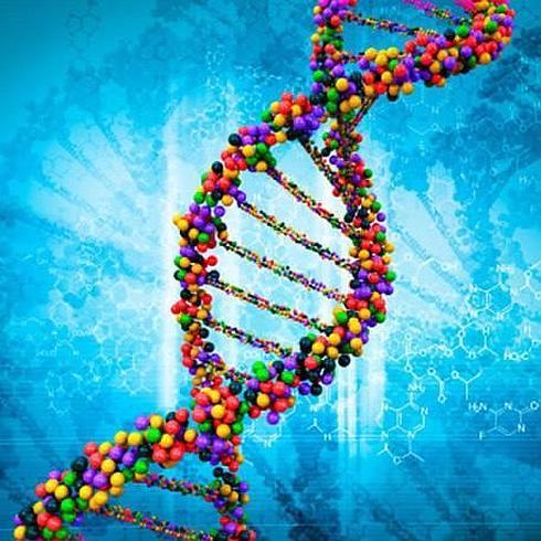 Descubierto un nuevo gen implicado en el desarrollo del Autismo