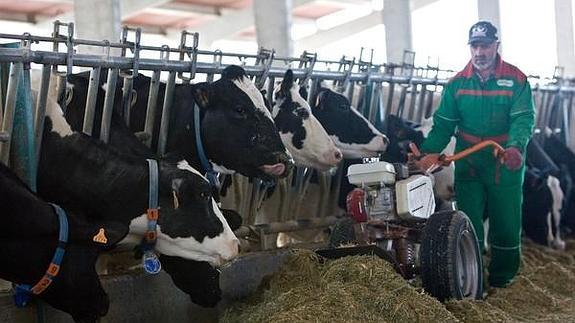 Granja de GAZA en Santa Cristina de la Polvorosa (Zamora). 