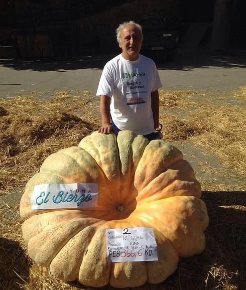 Miguel Yuma con su calabaza gigante de 366 kilos.
