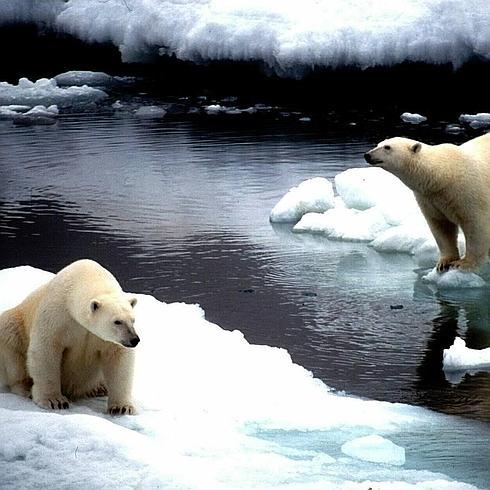 Diez ideas para entender el cambio climático