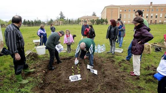 Plantación simbólica en Huertos de Ferroviarios.