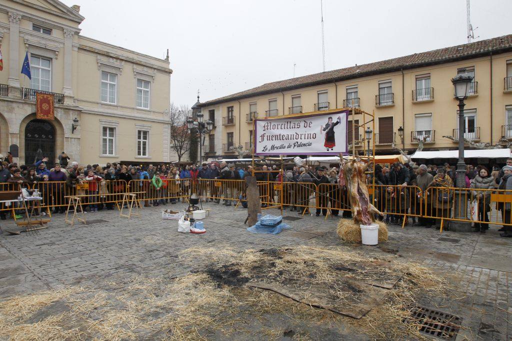 Espectáculo de la matanza del cerdo en la Plaza Mayor. Antonio Quintero