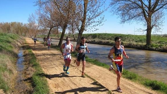 Carrera de la edición de 2015