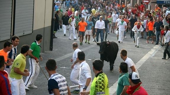 Los corredores citan a los toros en el tramo urbano de uno de los últimos encierros. M. Rico