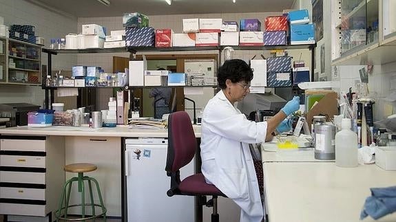 Una investigadora trabaja en uno de los laboratorios de la Facultad de Medicina de la Usal. 