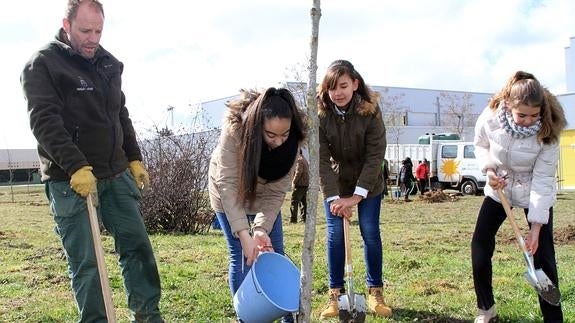 Tres estudiantes plantan un árbol con la ayuda de un jardinero municipal. 