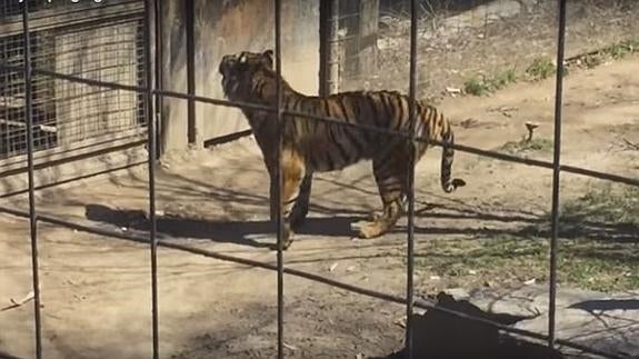 Jugársela por una gorra