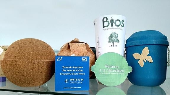 Diferentes modelos de urnas biodegradables. El Norte